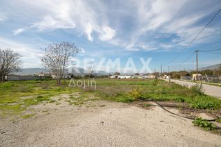 Αγροτεμάχια 6.529 τ.μ. προς ενοικίαση, Μαγνησία, Αισωνία-thumb-4