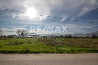 Αγροτεμάχια 6.529 τ.μ. προς ενοικίαση, Μαγνησία, Αισωνία-thumb-15
