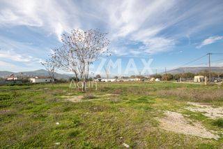 Αγροτεμάχια 6.529 τ.μ. προς ενοικίαση, Μαγνησία, Αισωνία-thumb-7