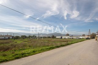 Αγροτεμάχια 6.529 τ.μ. προς ενοικίαση, Μαγνησία, Αισωνία-thumb-14