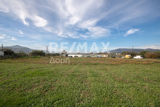 Αγροτεμάχια 6.529 τ.μ. προς ενοικίαση, Μαγνησία, Αισωνία-thumb-23