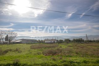 Αγροτεμάχια 6.529 τ.μ. προς ενοικίαση, Μαγνησία, Αισωνία-thumb-5