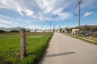 Αγροτεμάχια 6.529 τ.μ. προς ενοικίαση, Μαγνησία, Αισωνία-thumb-8