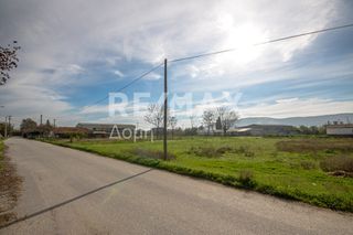 Αγροτεμάχια 6.529 τ.μ. προς ενοικίαση, Μαγνησία, Αισωνία-thumb-13