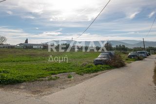 Αγροτεμάχια 6.529 τ.μ. προς ενοικίαση, Μαγνησία, Αισωνία-thumb-11