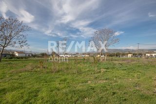 Αγροτεμάχια 6.529 τ.μ. προς ενοικίαση, Μαγνησία, Αισωνία-thumb-17