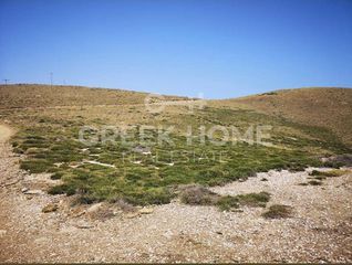 Αγροτεμάχια 120.000 τ.μ. για πώληση