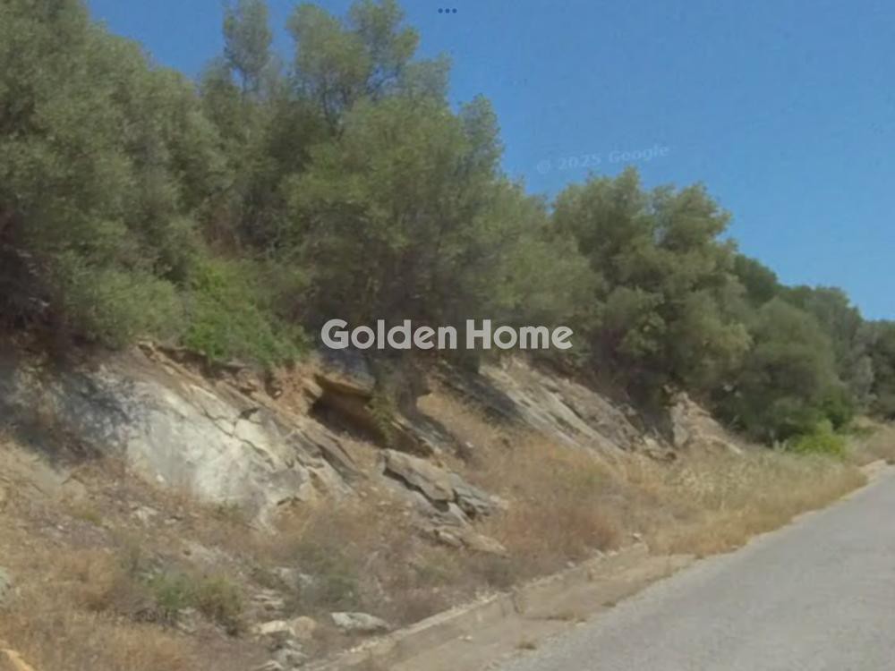 Αγροτεμάχια 16.878 τ.μ. προς πώληση, Πυργαδίκια