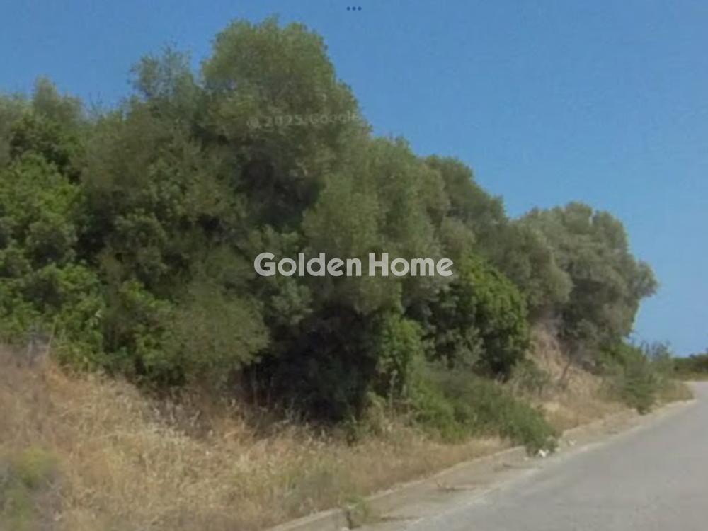 Αγροτεμάχια 16.878 τ.μ. προς πώληση, Πυργαδίκια