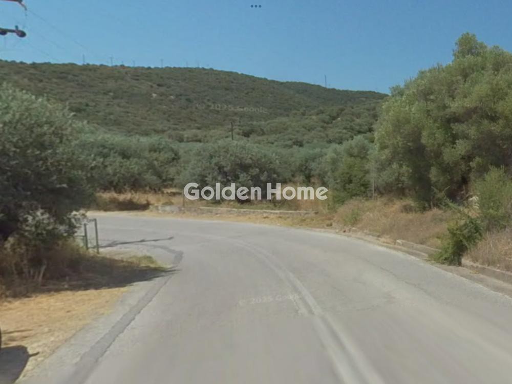 Αγροτεμάχια 16.878 τ.μ. προς πώληση, Πυργαδίκια