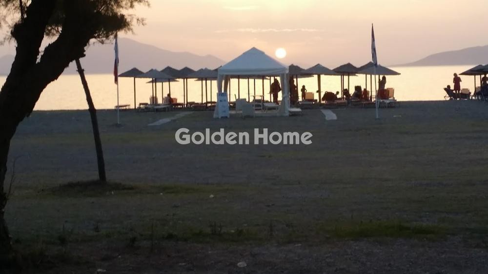 Ξενοδοχείο 552 τ.μ. προς πώληση, Πεύκη Αρτεμισίου