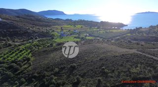 Οικόπεδο 4.030 τ.μ. για πώληση, Αργολίδα, Ερμιόνη-thumb-8