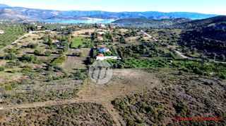 Οικόπεδο 4.030 τ.μ. για πώληση, Αργολίδα, Ερμιόνη-thumb-10