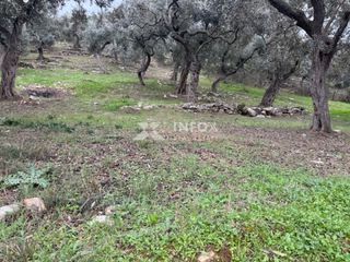 Αγροτεμάχια 1.705 τ.μ. για πώληση, Ν. Καβάλας, Θάσος-thumb-15