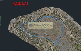 Αγροτεμάχια 12.000 τ.μ. για πώληση
