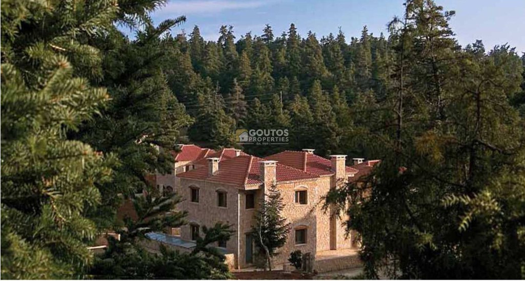Βίλλα 216 τ.μ. πρός πώληση, Βοιωτία, Αράχοβα