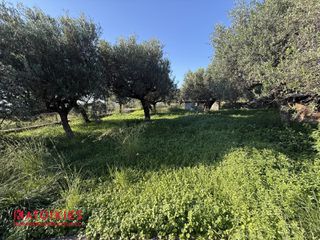 Οικόπεδο 403 τ.μ. για πώληση, Μεσσηνία, Λεύκτρος-thumb-7