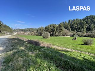 Αγροτεμάχια 7.000 τ.μ. για πώληση