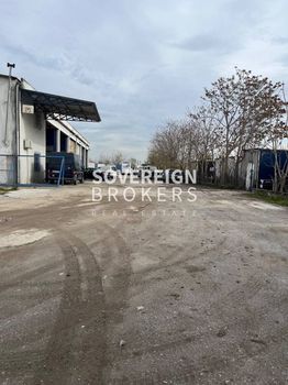 Αγροτεμάχια 4.000 τ.μ. προς πώληση