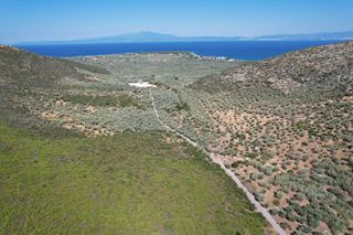 Αγροτεμάχια 15.392 τ.μ. για πώληση
