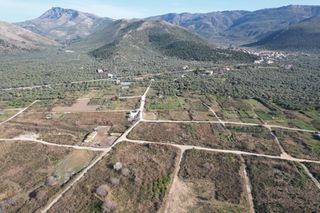 Αγροτεμάχια 983 τ.μ. για πώληση