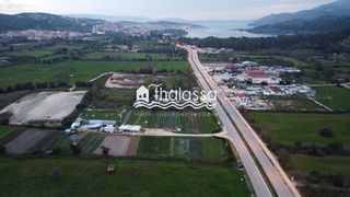 Αγροτεμάχια 36.000 τ.μ. για πώληση
