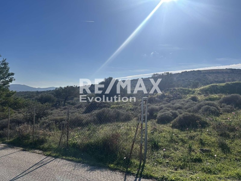 Αγροτεμάχια 8.400 τ.μ. πρός πώληση, Αττική - Υπόλοιπο, Κουβαράς