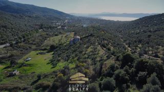 Αγροτεμάχια 6.903 τ.μ. για πώληση, Εύβοια, Αιδηψός-thumb-6