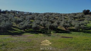 Αγροτεμάχια 6.903 τ.μ. για πώληση, Εύβοια, Αιδηψός-thumb-8