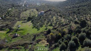 Αγροτεμάχια 6.903 τ.μ. για πώληση, Εύβοια, Αιδηψός-thumb-4