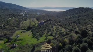 Αγροτεμάχια 6.903 τ.μ. για πώληση, Εύβοια, Αιδηψός-thumb-1