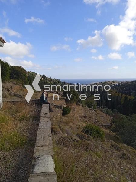 Αγροτεμάχια 32.900 τ.μ. προς πώληση, Χώρα Άνδρου