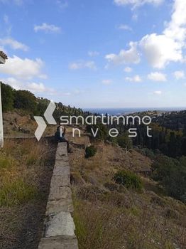 Αγροτεμάχια 32.900 τ.μ. προς πώληση