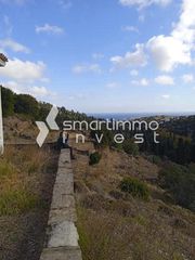 Αγροτεμάχια 32.900 τ.μ. για πώληση
