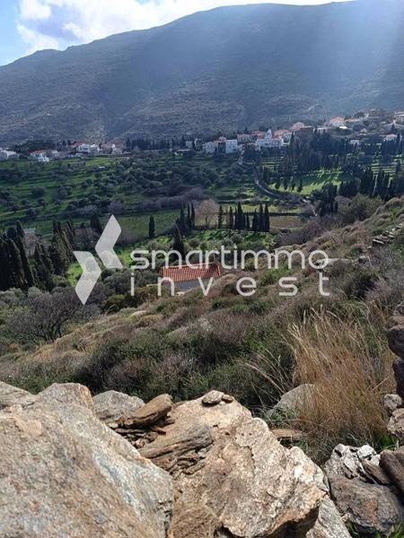 Αγροτεμάχια 32.900 τ.μ. προς πώληση, Χώρα Άνδρου