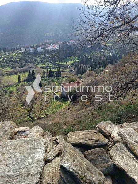 Αγροτεμάχια 32.900 τ.μ. προς πώληση, Χώρα Άνδρου