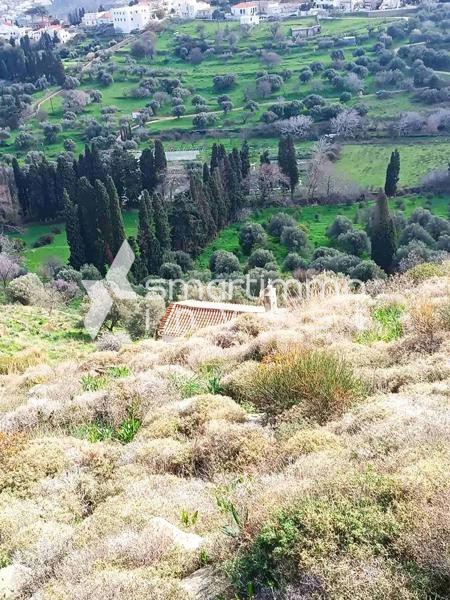 Αγροτεμάχια 32.900 τ.μ. προς πώληση, Χώρα Άνδρου