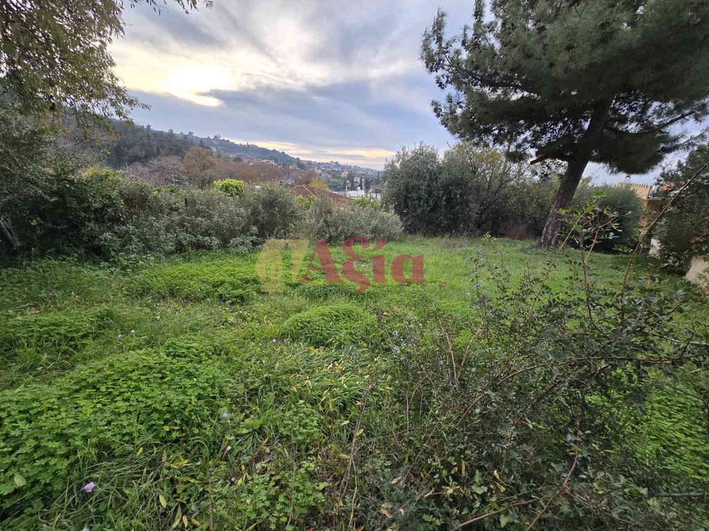 Οικόπεδο 422 τ.μ. προς πώληση, Κεφαλόβρυσο Μεσσάτιδας