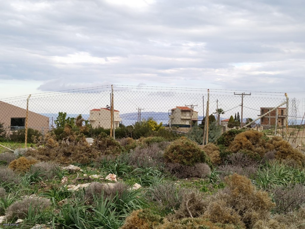 Οικόπεδο 22.531 τ.μ. προς πώληση, Λυγαριά Γαζίου