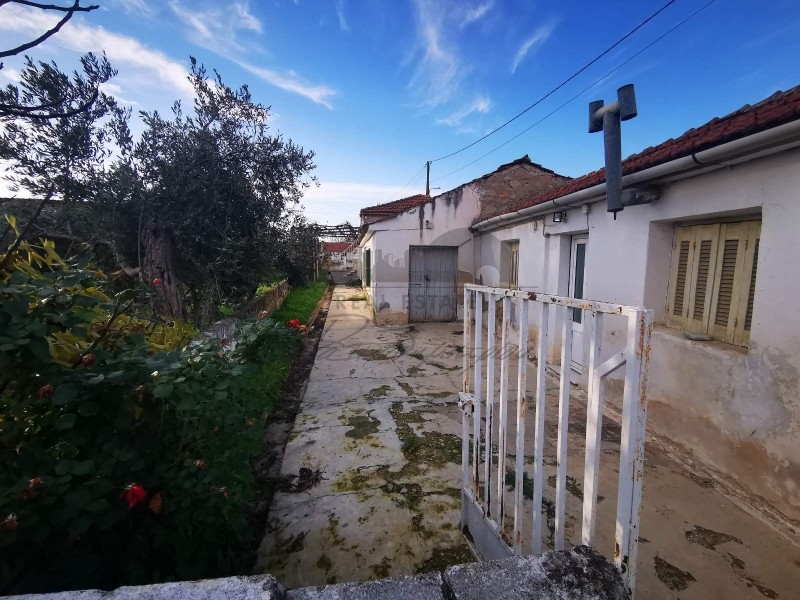 Επιχειρηματικό κτίριο 500 τ.μ. προς ενοικίαση, Κέντρο Βόλου