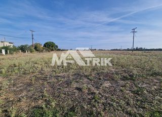 Αγροτεμάχια 9.351 τ.μ. για πώληση