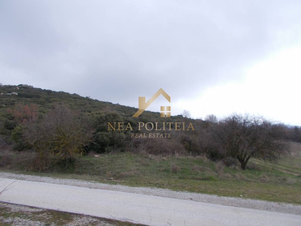 Αγροτεμάχια 11.640 τ.μ. προς πώληση, Ασβεστοχώρι Χορτιάτη