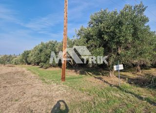 Αγροτεμάχια 4.128 τ.μ. για πώληση