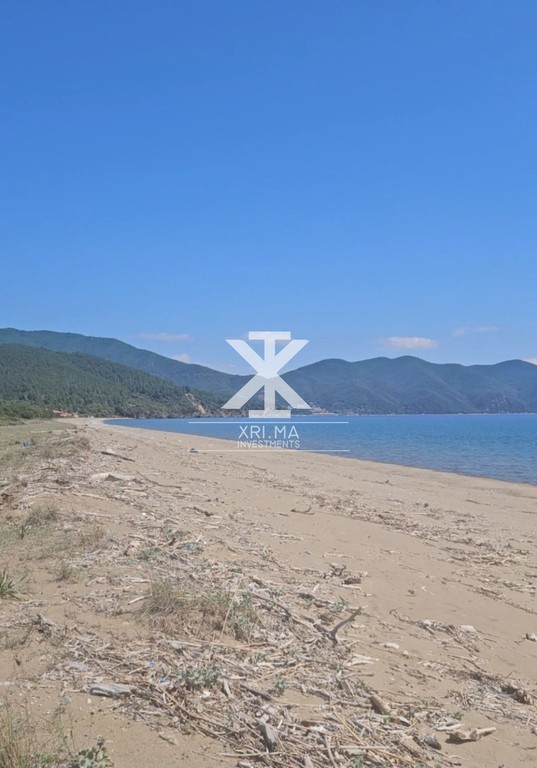 Αγροτεμάχια 17.000 τ.μ. προς πώληση, Κρυονέρι Χαλκιδικής