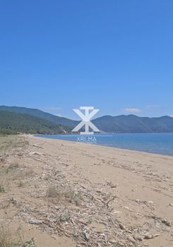 Αγροτεμάχια 17.000 τ.μ. προς πώληση