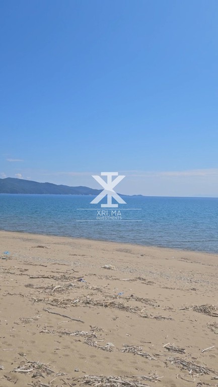 Αγροτεμάχια 17.000 τ.μ. προς πώληση, Κρυονέρι Χαλκιδικής