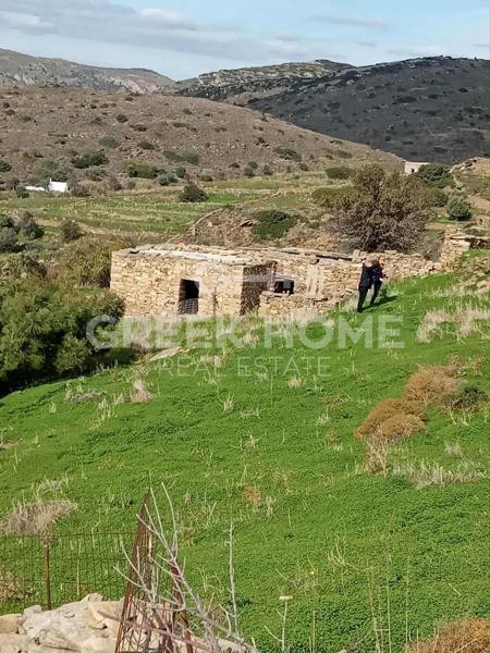 Οικόπεδο 4.000 τ.μ. πρός πώληση, Κυκλάδες, Νάξος