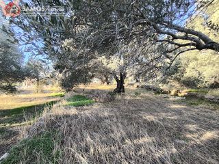 Οικόπεδο 2.452,49 τ.μ. για πώληση, Ν. Σάμου, Σάμος-thumb-2