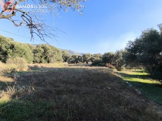 Οικόπεδο 2.452,49 τ.μ. για πώληση, Ν. Σάμου, Σάμος-thumb-4