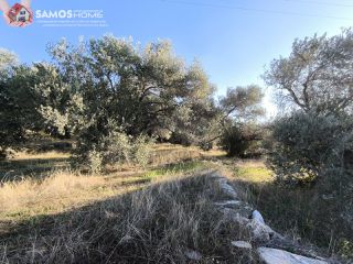 Οικόπεδο 2.452,49 τ.μ. για πώληση, Ν. Σάμου, Σάμος-thumb-6